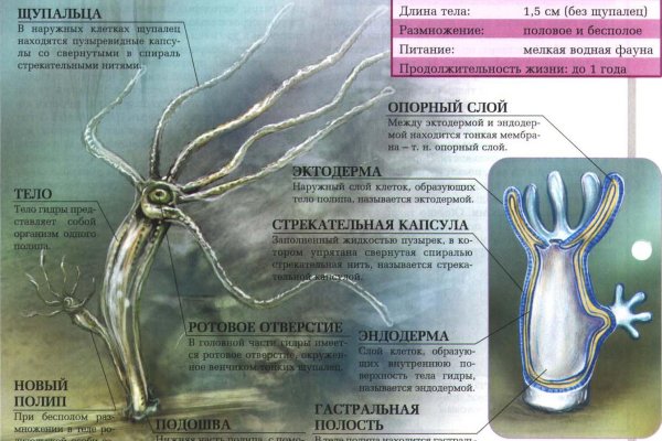 Ссылка кракен kraken torion net