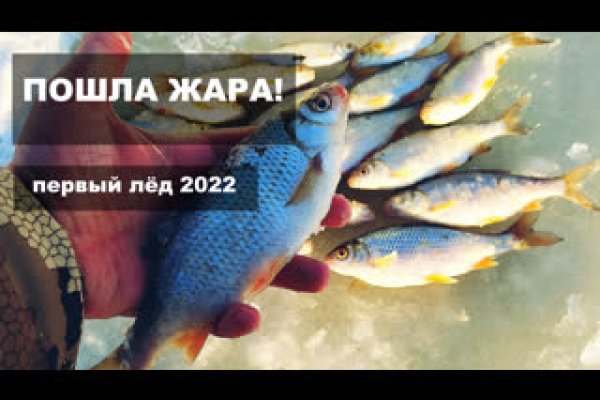 Ссылка на кракен официальный