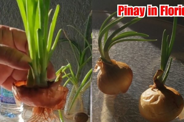 Рабочее зеркало кракен