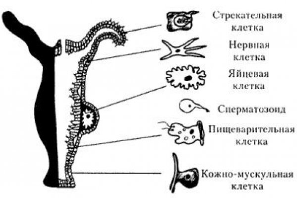Сайты типа гидры