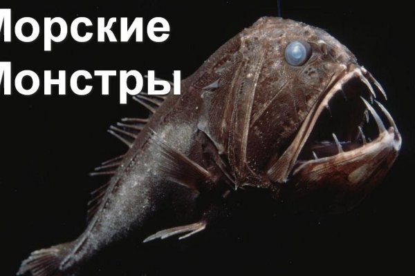 Какая ссылка на кракен