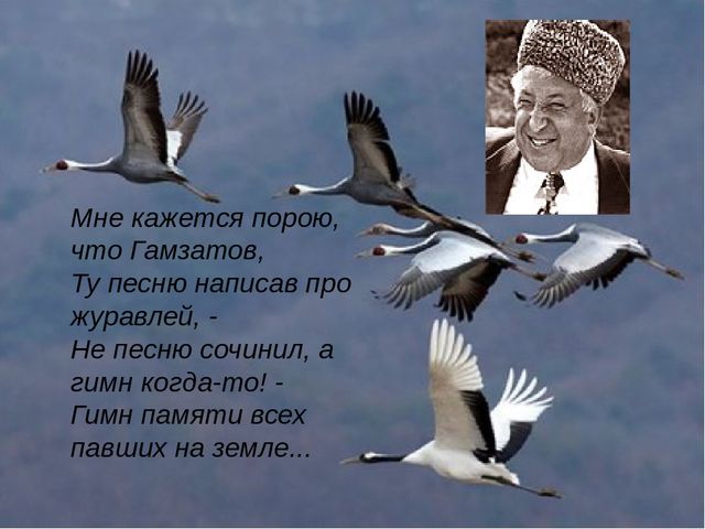 Зеркала сайта кракен tor
